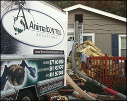 Virginia Attic Cleanout, Insulation Replacement